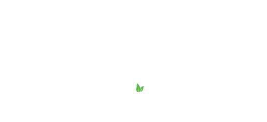 312 Essentials